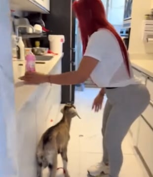 Deysi Araujo y su nueva mascota, una cabrita