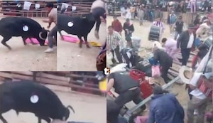 ¡Tragedia en Áncash! Joven murió embestido por un toro durante fiesta patronal y tribuna se desploma