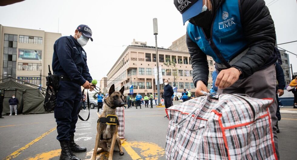 Perritos de la Brigada Canina, especializados en detección de pirotécnicos, ayudarán en el Plan de Seguridad en Lima por fiestas de Navidad y fin de año.