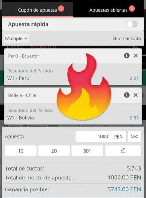 Se vuelve viral peusta caliente de hincha de la selección (Facebook)