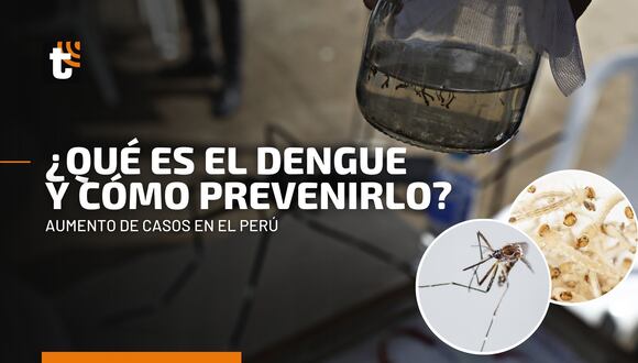 Brote de dengue en el Perú: ¿Qué es, cuáles son los síntomas y por qué es tan peligroso?