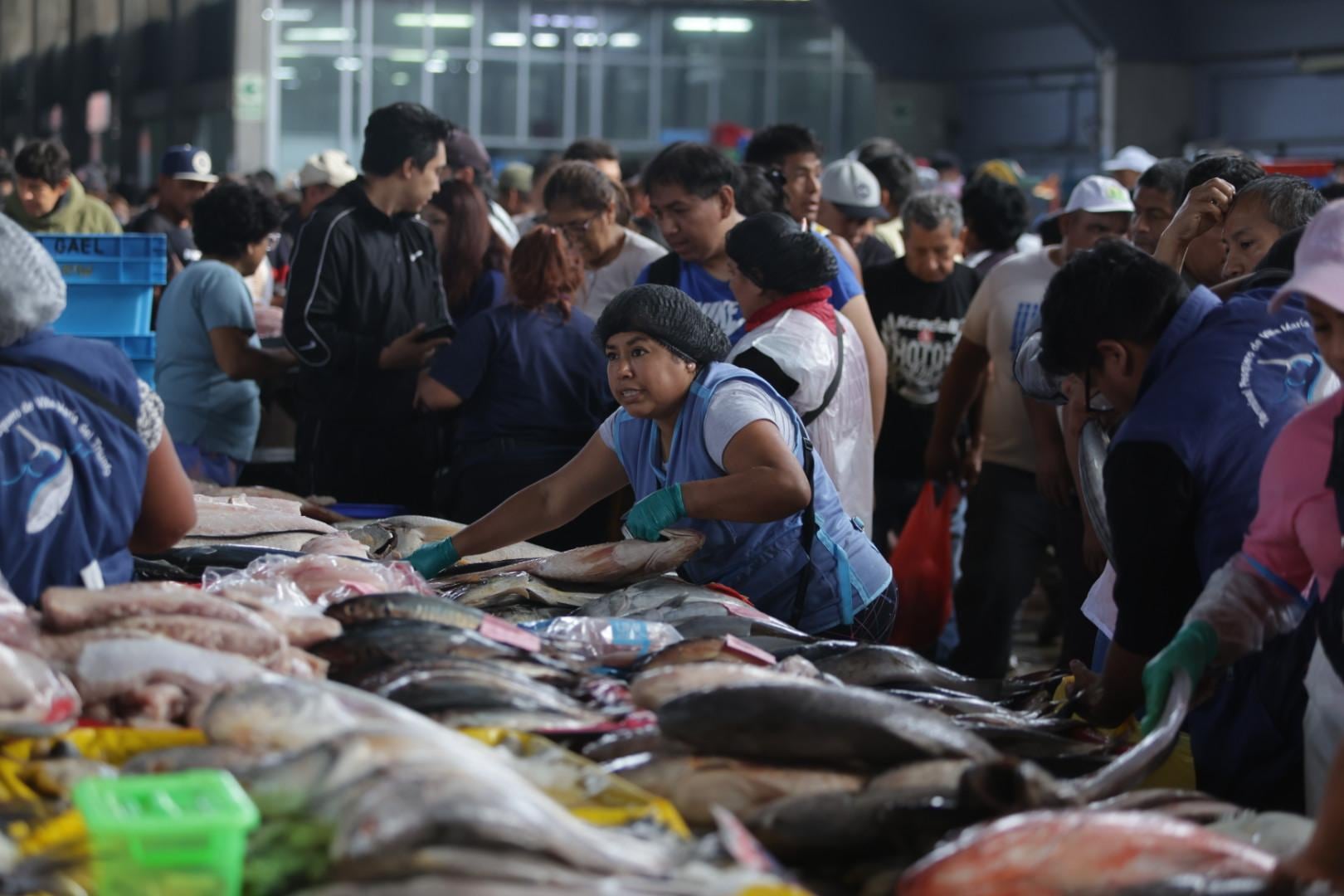 Es muy importante la inclusión del pescado en la dieta de los deportistas. (Fotos: Hugo Pérez / @photo.gec)