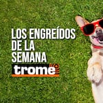 Estos son los cuatro peluditos que te robarán el corazón esta semana