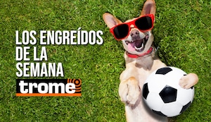 Estos son los cuatro peluditos que te robarán el corazón esta semana