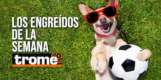 Conoce a las mascotas de Trome de la semana y anota el paso a paso para que tu engreído también participe. Foto: Istock.