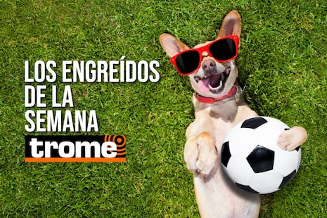 Estos son los cuatro peluditos que te robarán el corazón esta semana