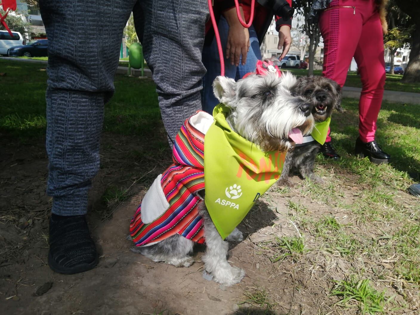 Las autoridades municipales también realizarán una jornada gratuita de vacunación antirrábica y desparasitación.