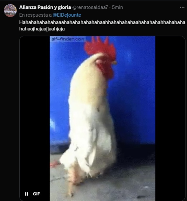 Disfruta con los mejores memes del Alianza Talleres.