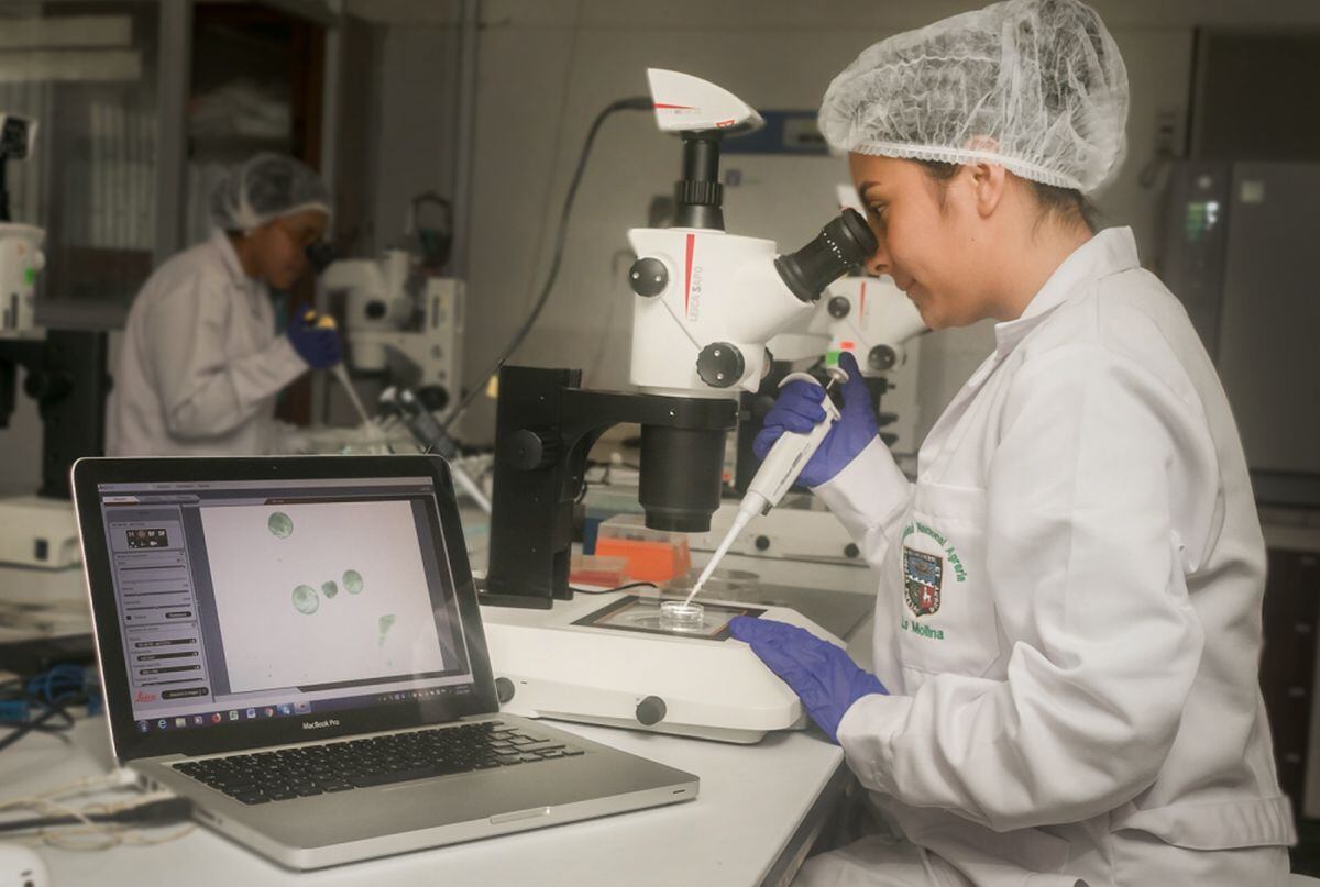 Alumna en clase de laboratorio (Foto: UNALM)