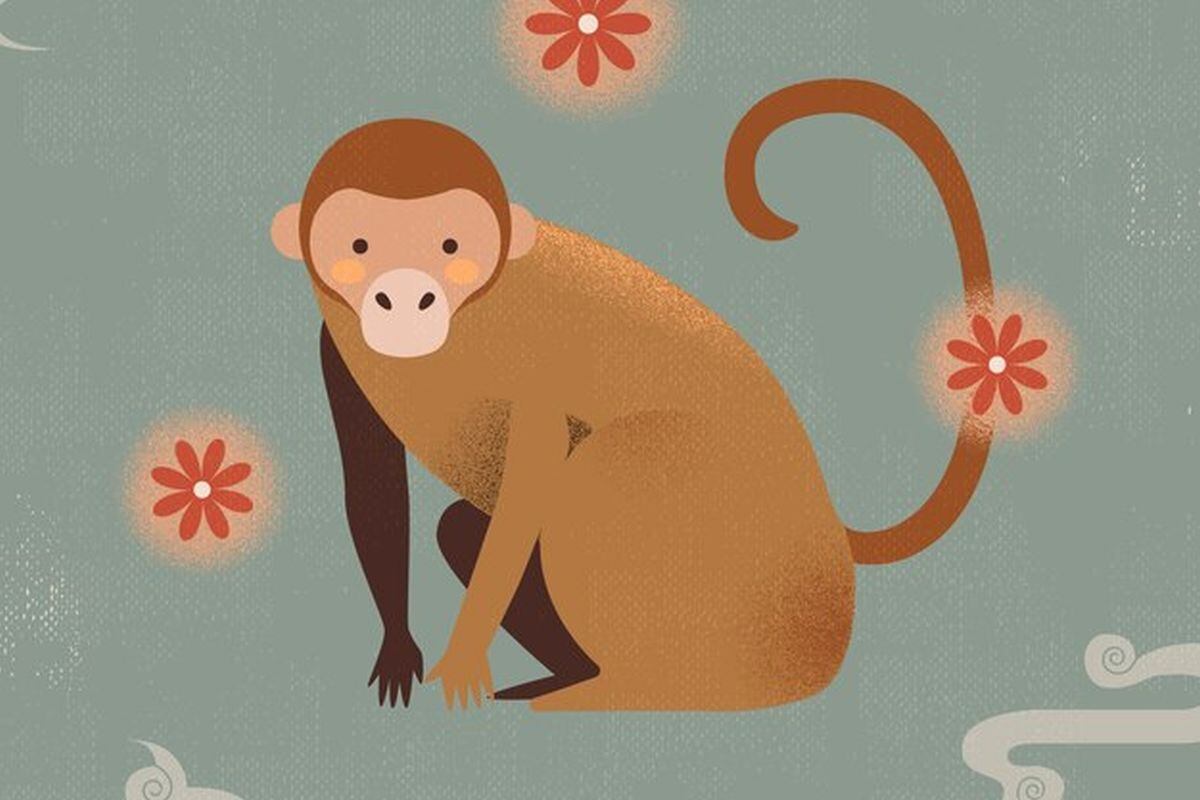 Al ser amigo del Dragón, cómo le irá en su año al Mono (Foto: Freepik)