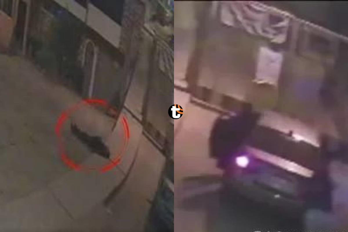 ¡Taxista pidió auxilio! Falsos pasajeros piden taxi por aplicativo y lo golpean y asaltan en San Juan de Miraflores