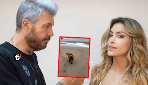 Marcelo Tinelli no le da bola a debut de Milett en TV, dice Magaly: “Pasea a su perro y pone fotos, eso es más importante”