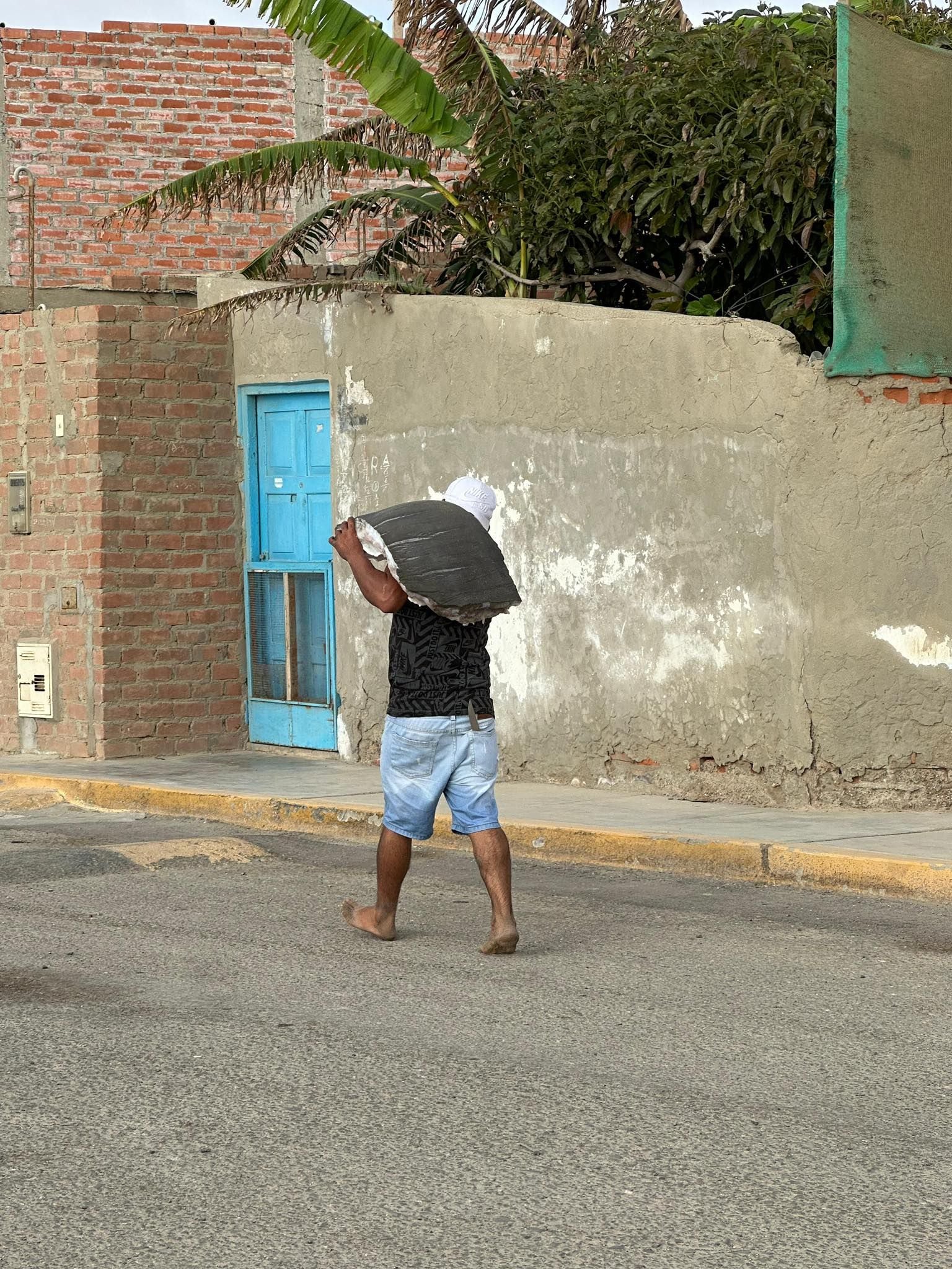 Vecinos de la zona filetearon el cuerpo del animal y se lo llevaron. (Foto: Prial Photography)