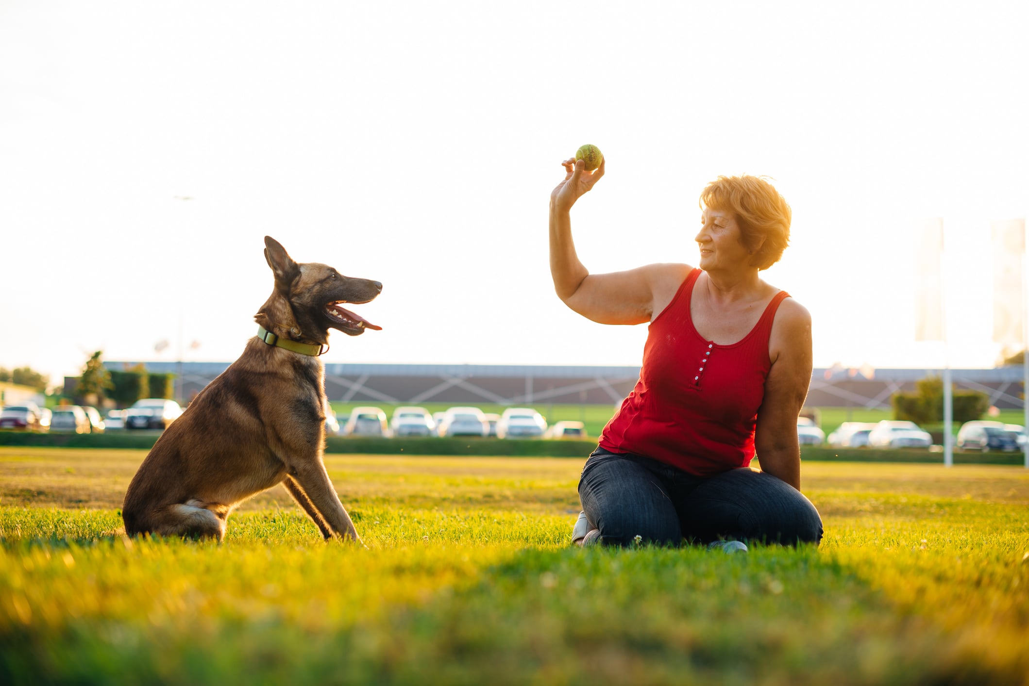 También puedes mantener activo a tu perro desde casa: esconde premios en diferentes espacios y haz que los busque para ejercitar su cuerpo y mente. Foto. Istock