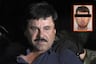 Atrapan a sobrino del Chapo Guzmán, acusado de ser operador ‘Los Chapitos’