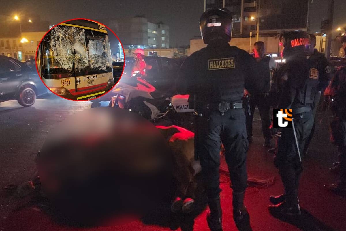 Un caballo de la Policía montada murió durante la 'Noche Blanquiazul', ello tras escaparse por los fuegos artificiales. Foto: La República