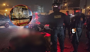 Caballo de la Policía murió durante la ‘Noche Blanquiazul’: se alteró por pirotecnica y chocó un bus