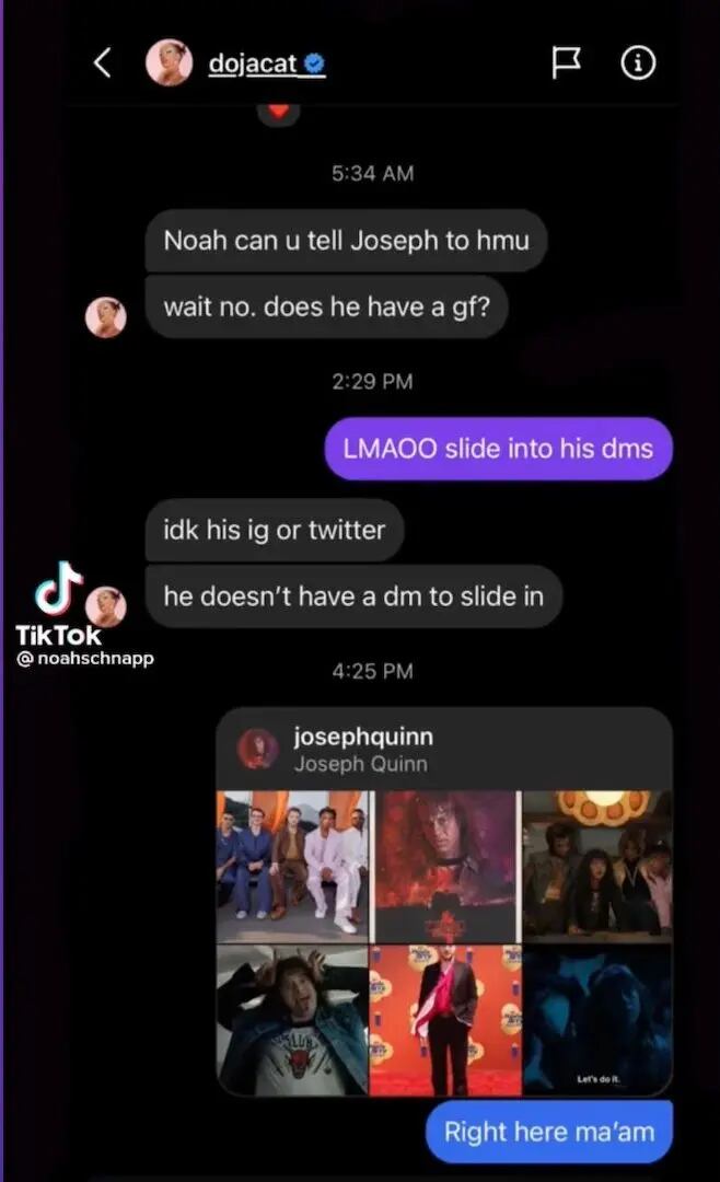 Schnapp publicó su intercambio de DM en un video en TikTok, que acumuló más de 30 millones de visitas antes de que fuera eliminado. (Captura: TikTok/@noahschnapp)