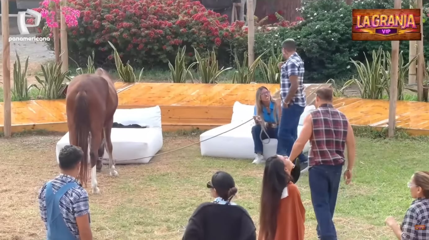 La reacción de Gabriela Herrera tras ver el mensaje en avioneta dirigido a Diego Chávarri y ella.
