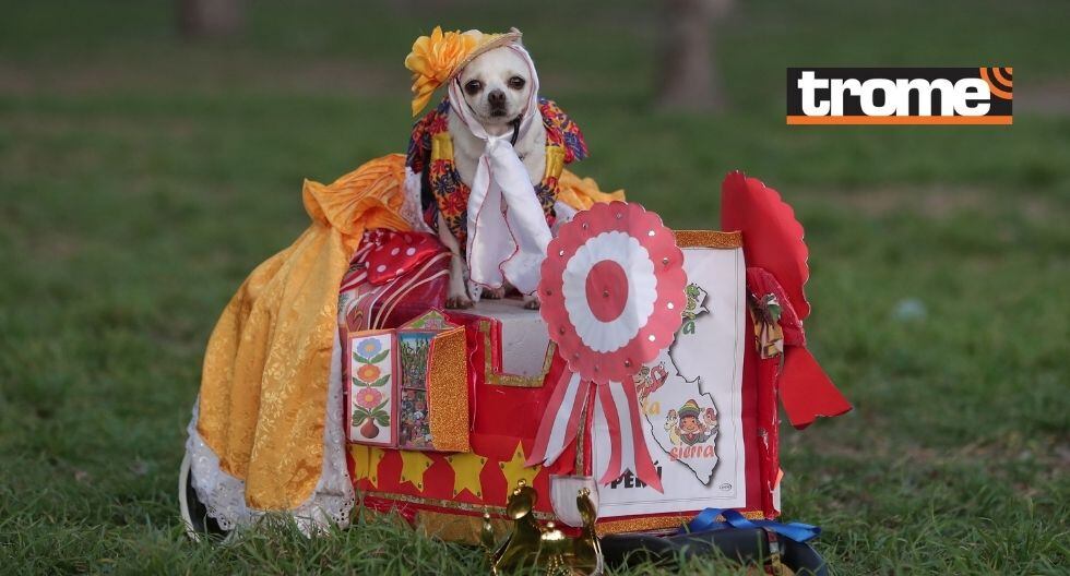 Kitty tiene experiencia en los concursos y tiene 4 años de edad. (Foto: Trome)