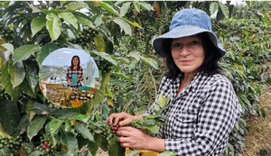 Productoras de café participarán en la IV Feria Cultural y Productiva Oxapampa Reserva de Biósfera