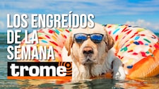 ¡Alerta de exceso de ternura! Conoce a los engreídos de Trome de esta semana