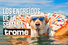¡Alerta de exceso de ternura! Conoce a los engreídos de Trome de esta semana