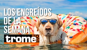 ¡Alerta de exceso de ternura! Conoce a los engreídos de Trome de esta semana