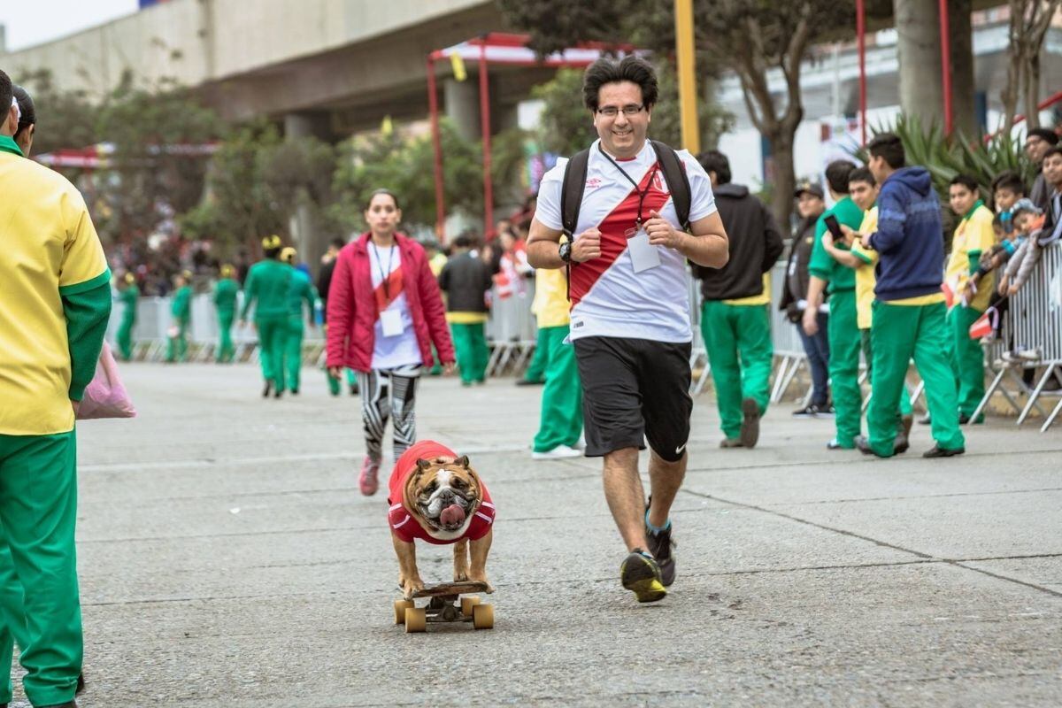 Iván es un padre 'chocho', pues antes de tener a Biuf investigó sobre la raza para atenderlo como se merece. Desde pequeñito le enseño a subirse a la tabla.
Foto: Aaron Cisneros