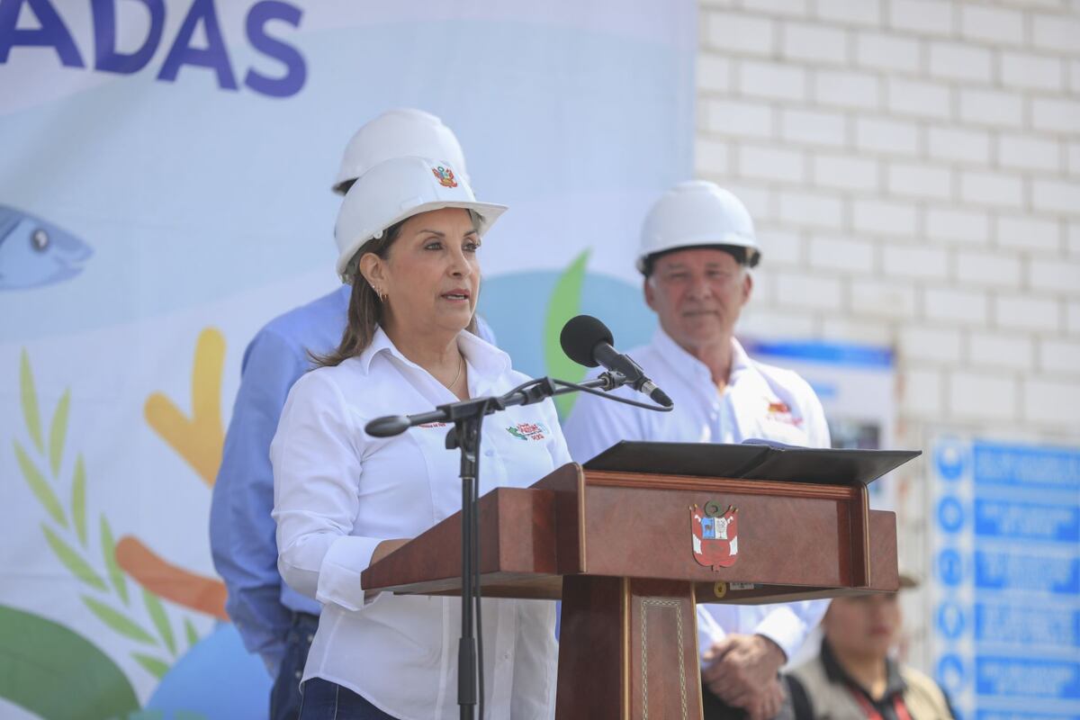 Dina Boluarte. Foto: Andina