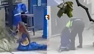 Más de 200 abejas atacan a mujer en Jesús María: Fue hospitalizada tras desgarrador pedido de ayuda