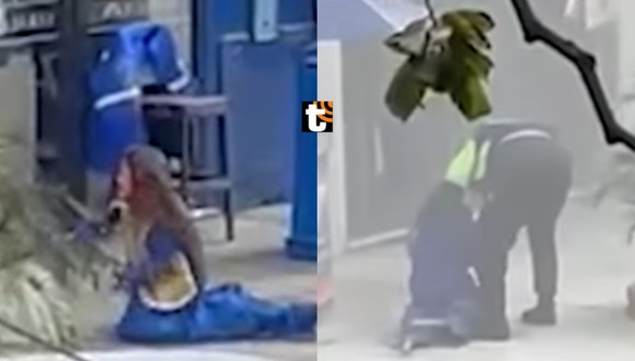 TROME - Más de 200 abejas atacan a mujer en Jesús María: Fue hospitalizada tras desgarrador pedido de ayuda