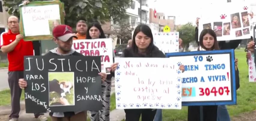 Dueños de canes envenenados sospechan que sustancia tóxica fue inhalada por sus mascotas. Foto: Panamericana Noticias