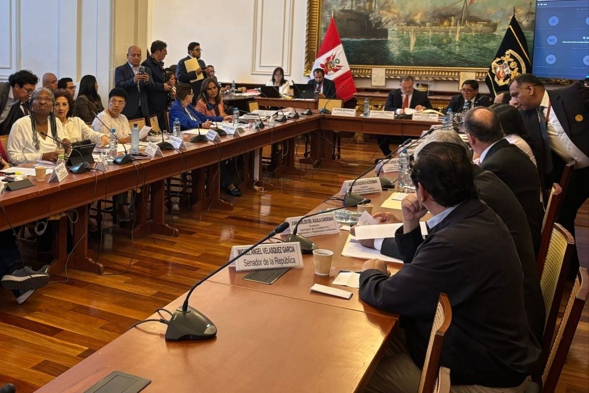 Comisión de Constitución nuevamente accidentada durante votación (Foto: @americanoticias)
