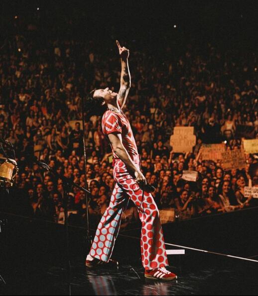 Ahora mismo Harry Styles se encuentra de gira por todo el mundo. (Foto: @harrystyles / Instagram)