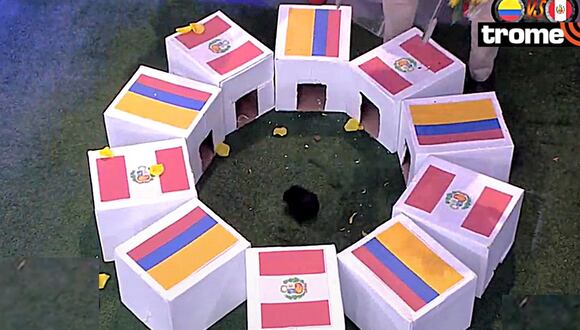 El cuy Renato predice triunfo peruano