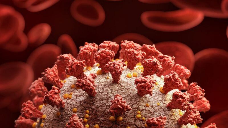 El virus de COVID-19 va mutando y por eso reformulan las vacunas (Foto: Getty)