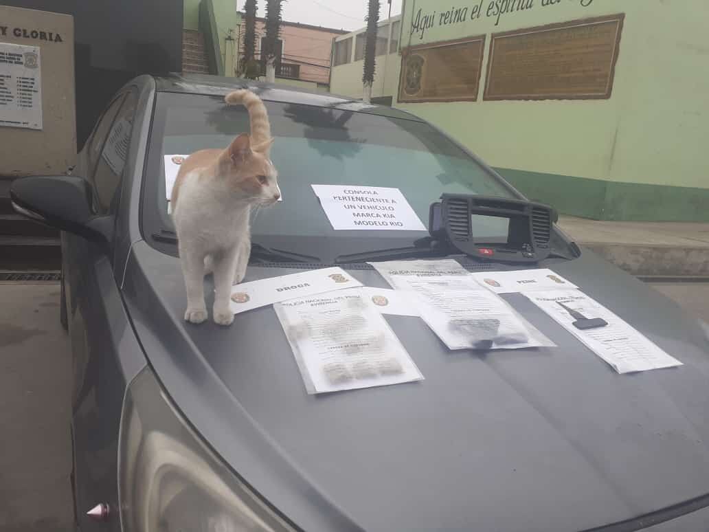 Los policías de Diprove atraparon a José Antonio Halanoca Mamani (31), que sería miembro de la banda de robacarros ‘Los Malditos del Cono Sur’. (foto: TROME)