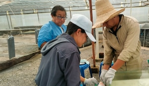 NeuroFish, un sistema innovador para optimiza productividad de la piscicultura en Selva Central