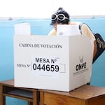 Tremenda trafa electoral