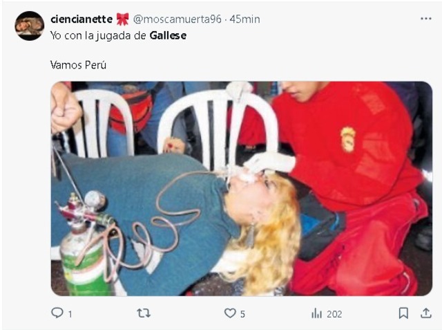 Disfruta los mejores memes del Perú - Paraguay (Redes sociales)