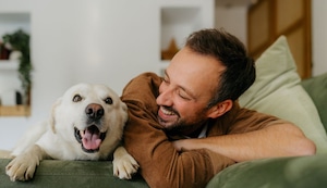 Perrito adoptado: ¿qué hacer cuando llega a casa?