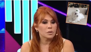 Magaly Medina devastada por la muerte de su mascota: “Se fue en mis brazos”