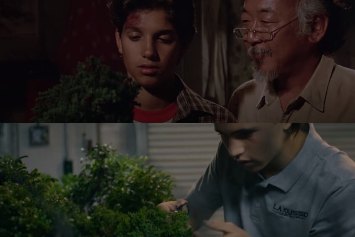 Los bonsai tienen una suma importancia en “Cobra Kai” y “Karate Kid”. (Foto: Netflix)