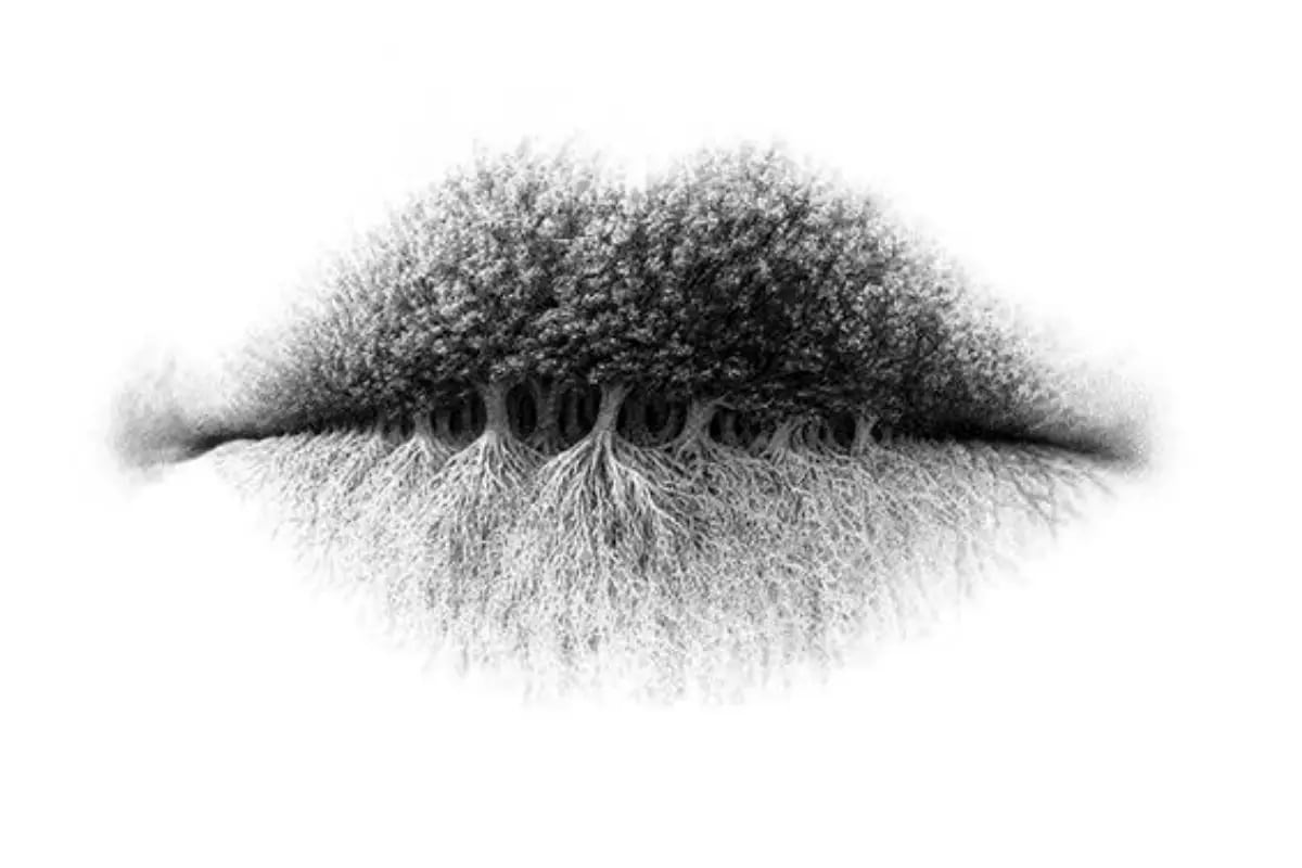 Descubre detalles ocultos en este test de personalidad de la ilusión óptica que presenta la imagen con árboles, labios y raíces.