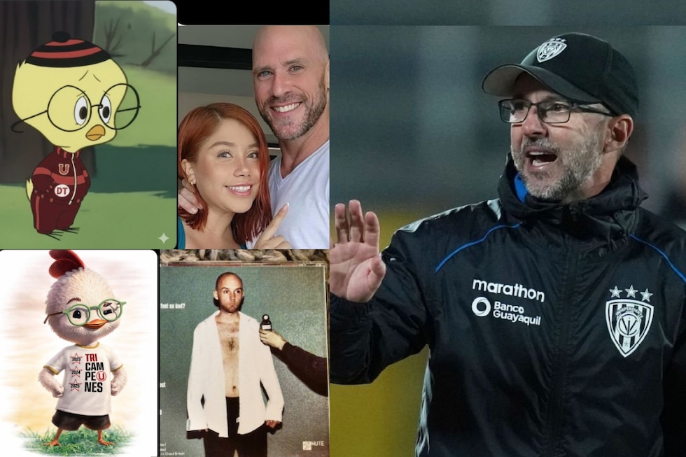 Hinchas de Universitario celebraron la llegada de Javier Rabanal con divertidos memes. (Redes sociales)