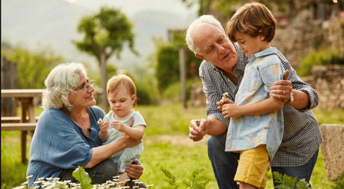 En México se festeja el 28 de agosto de cada año el Día del Abuelo (Foto: Shutterstock)