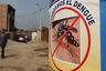 El peligroso dengue