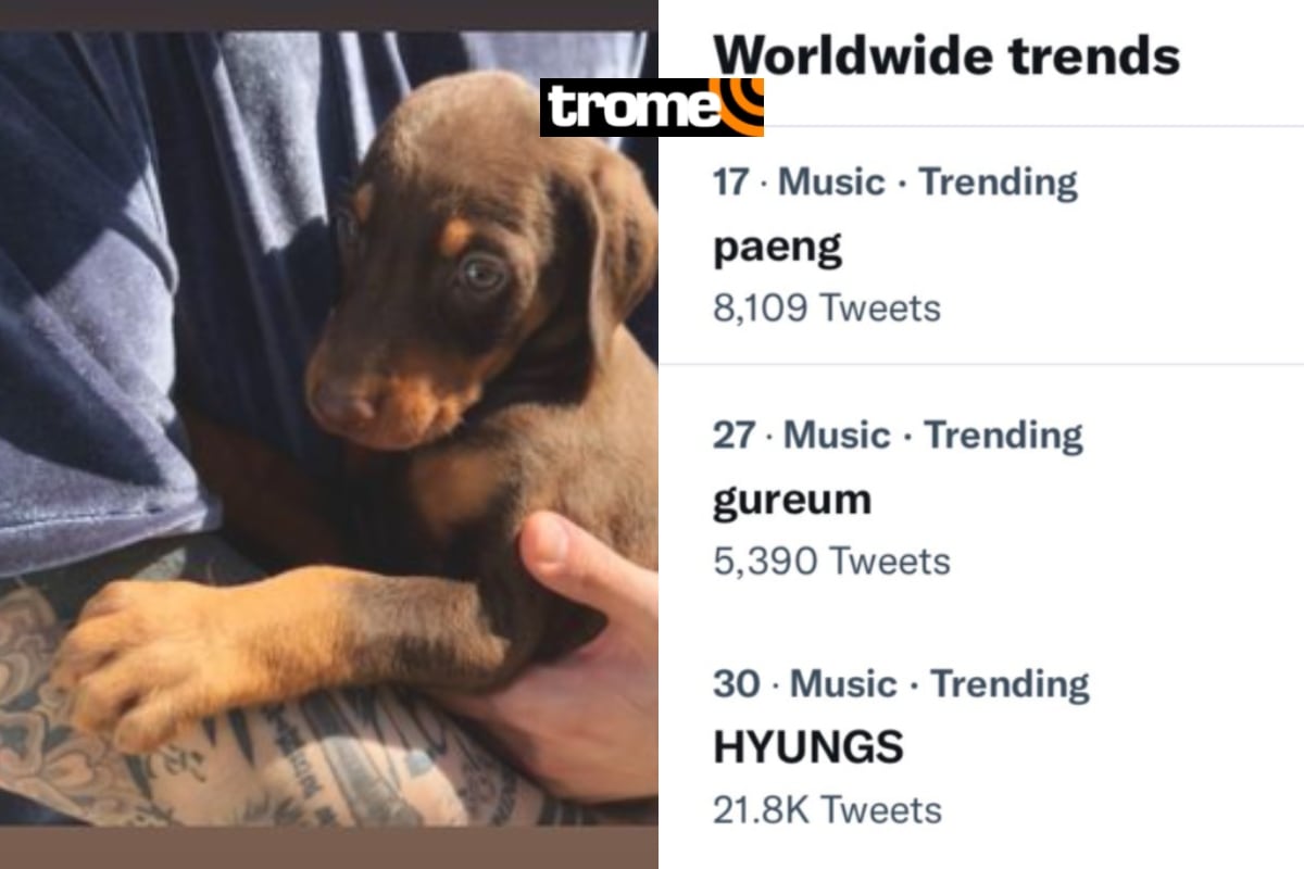 BTS: Jungkook fue tendencia mundial por sus mascotas. Foto: Captura IG y TW