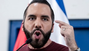 Matanza de choferes y Bukele puede ayudar en ‘Picotitos’ de El Búho